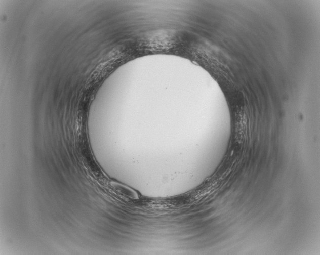 X0000059800608200511111603