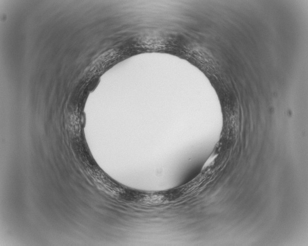 X0000059800609200511111603