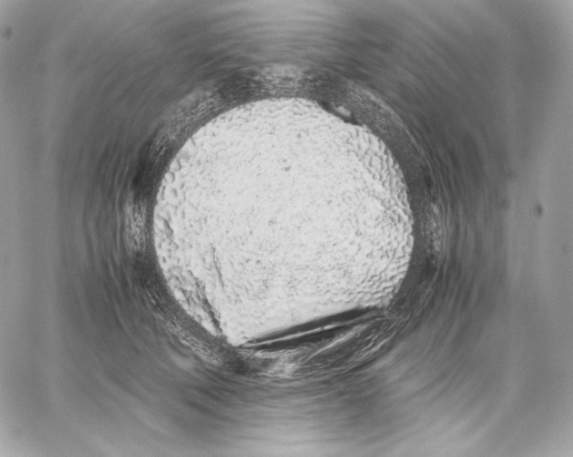 X0000059800610200511111603