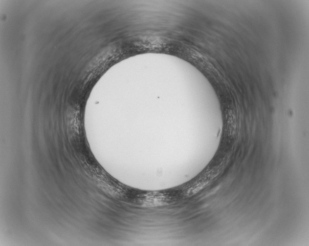 X0000059800612200511111603