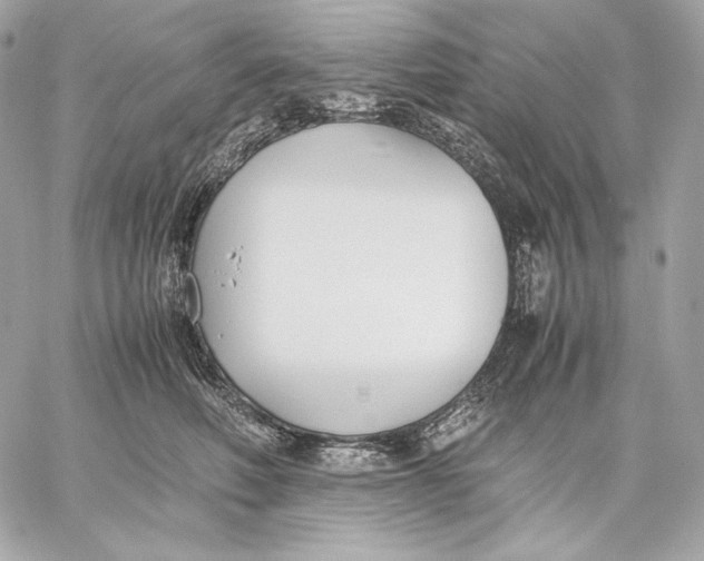 X0000059800614200511111603