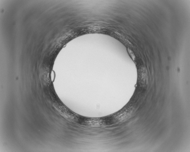 X0000059800615200511111603