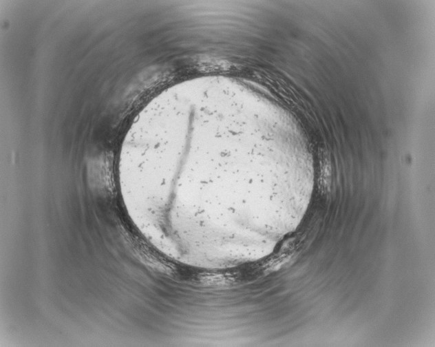 X0000059800616200511111603