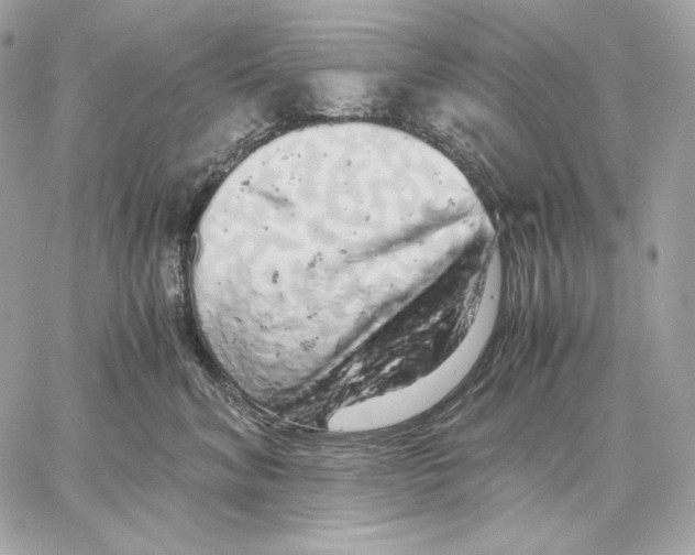 X0000059800620200511111603