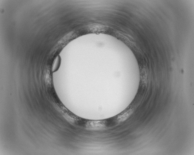 X0000059800622200511111602