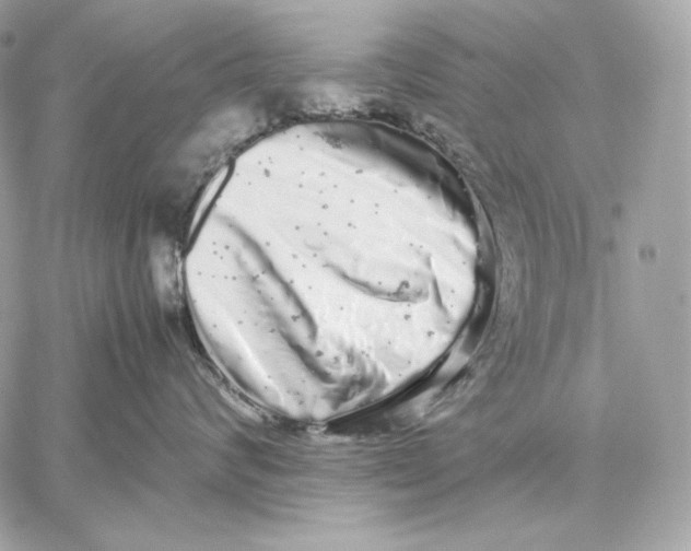 X0000059800624200511111602