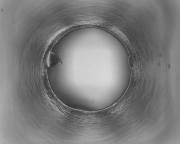 X0000059800628200511111602