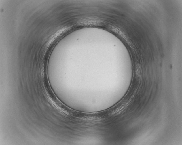 X0000059800629200511111602