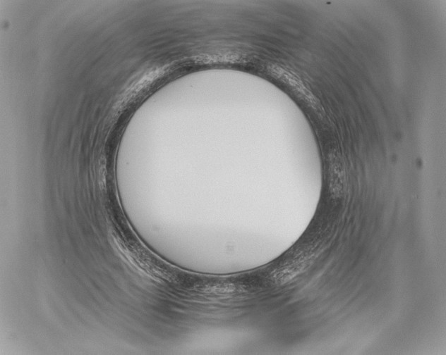 X0000059800631200511111602