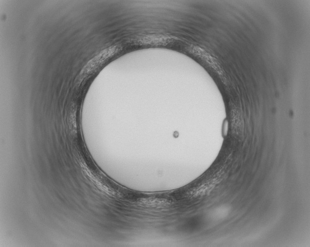 X0000059800633200511111602