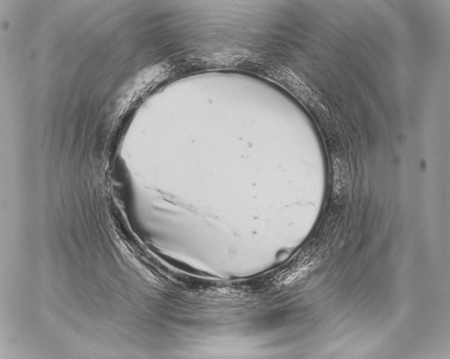 X0000059800634200511111602