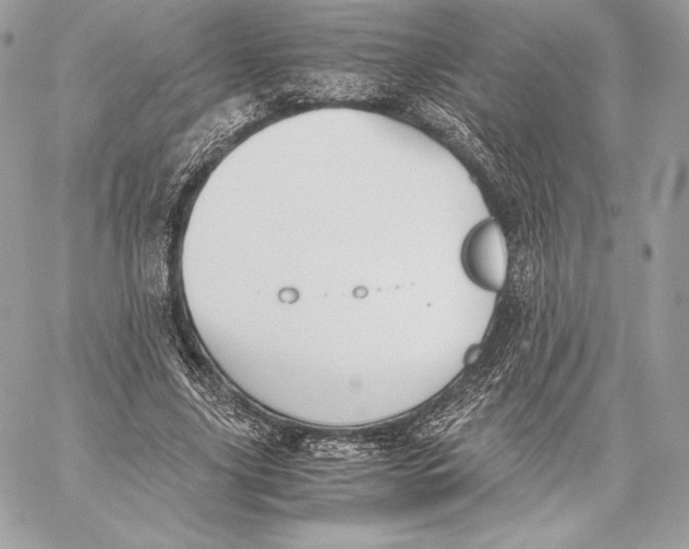 X0000059800635200511111602