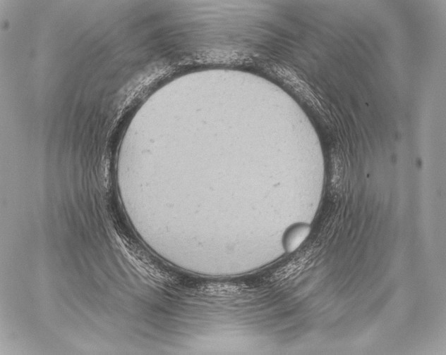 X0000059800636200511111602