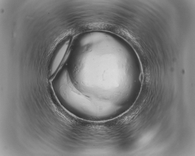 X0000059800637200511111602