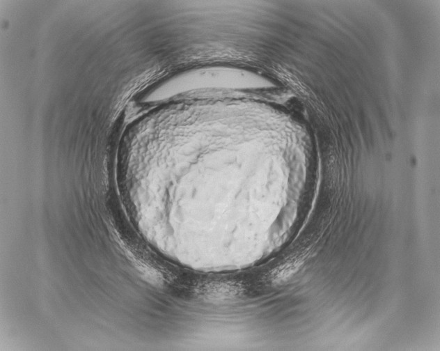 X0000059800638200511111602