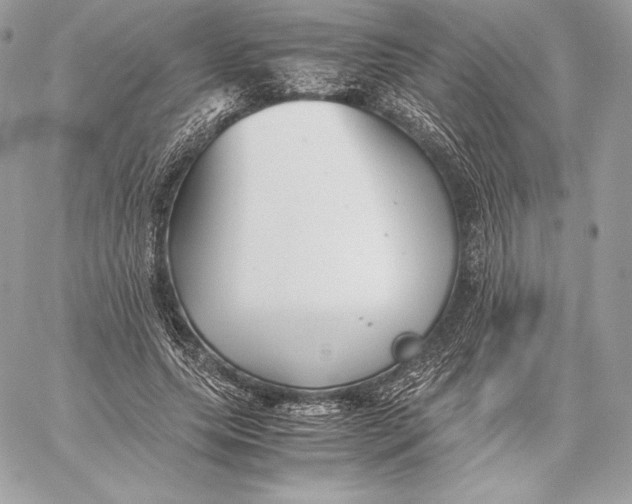 X0000059800639200511111602