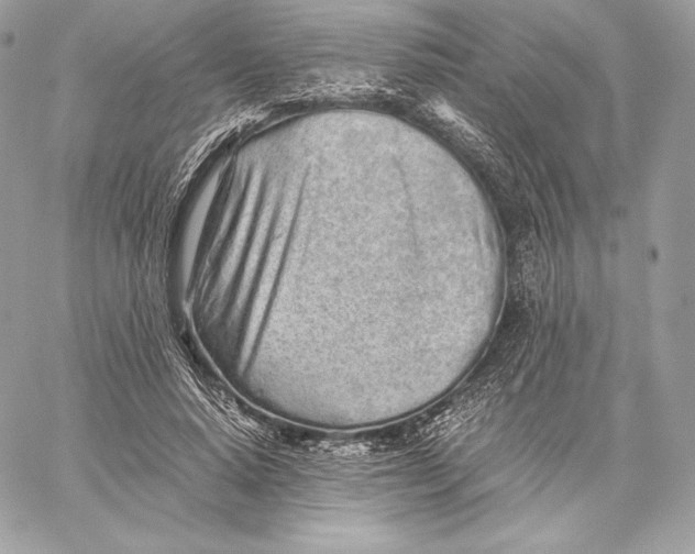 X0000059800640200511111602