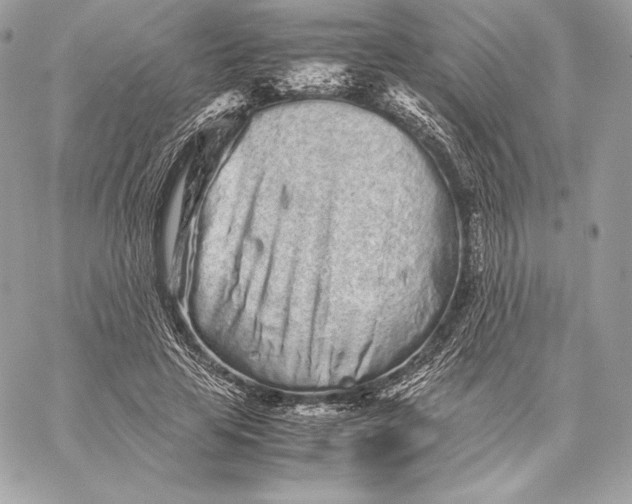 X0000059800641200511111602