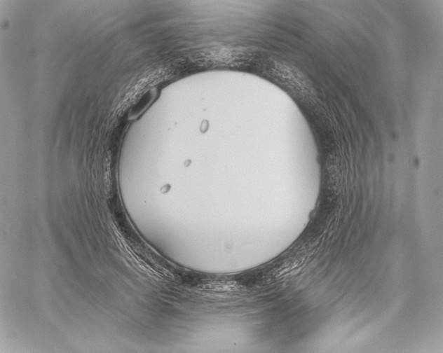 X0000059800642200511111602