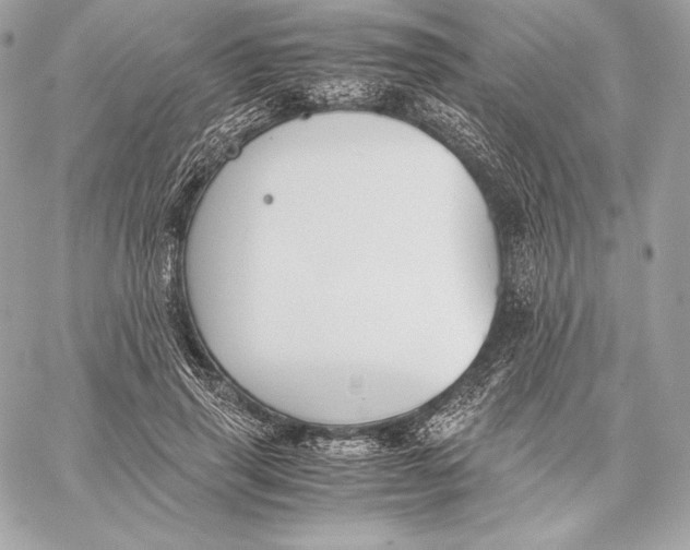 X0000059800645200511111602