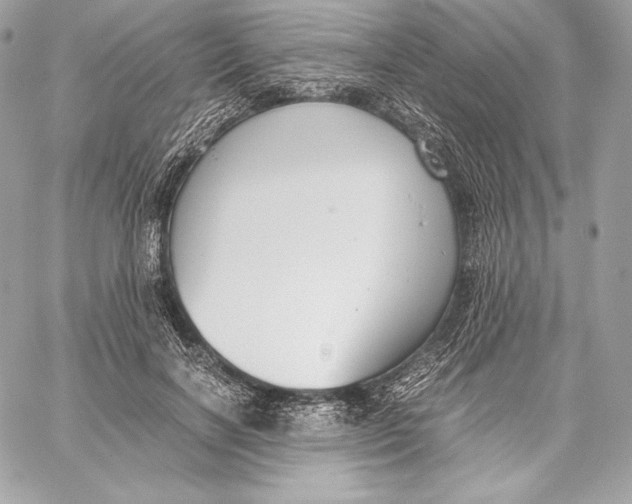 X0000059800646200511111602