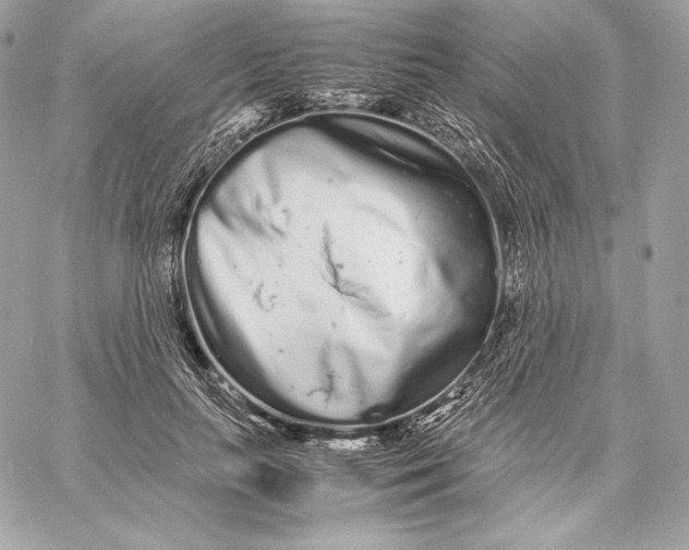 X0000059800647200511111602