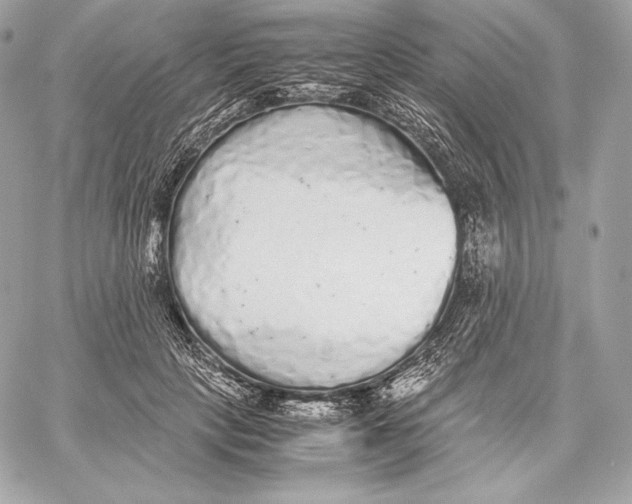 X0000059800649200511111602