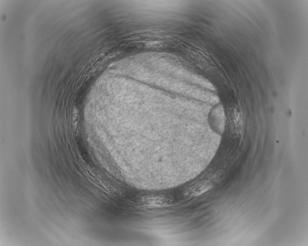 X0000059800650200511111602