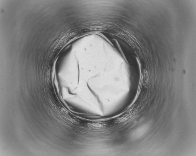 X0000059800652200511111602