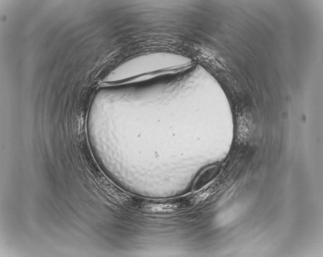 X0000059800657200511111602