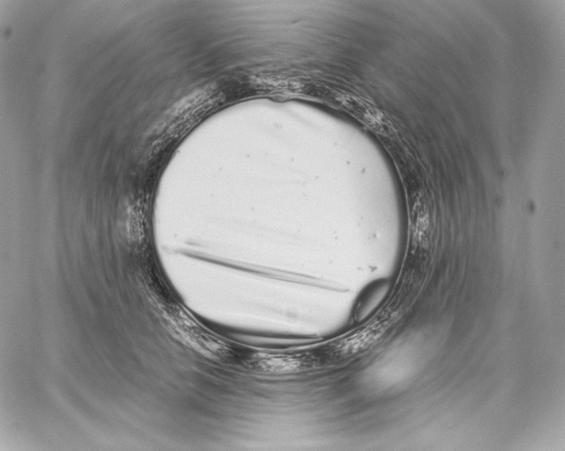 X0000059800658200511111602