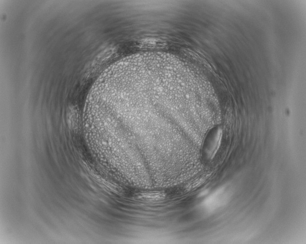 X0000059800659200511111602