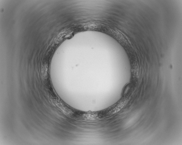 X0000059800660200511111602