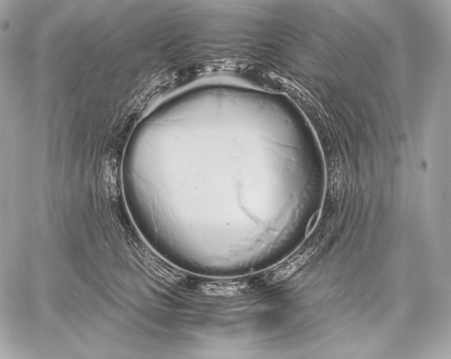 X0000059800661200511111602