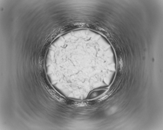 X0000059800662200511111602