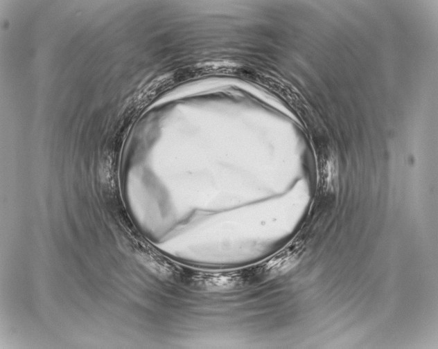 X0000059800663200511111602