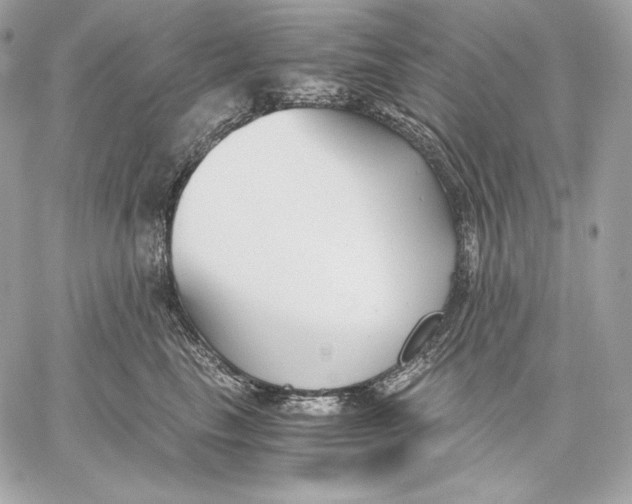 X0000059800665200511111602