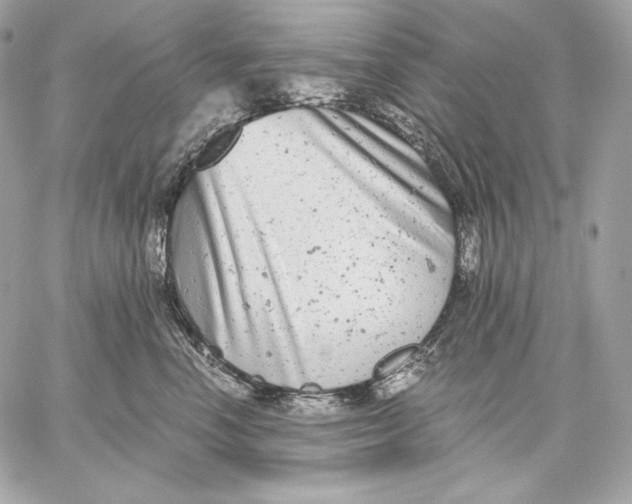 X0000059800666200511111602