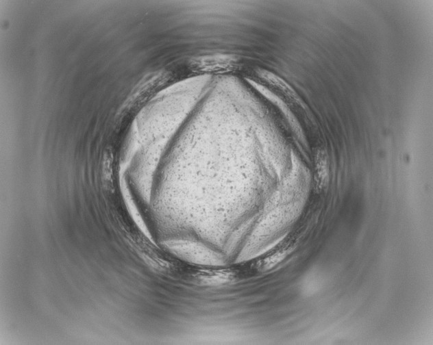 X0000059800667200511111602