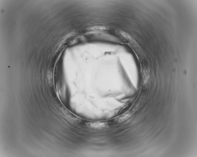 X0000059800669200511111602