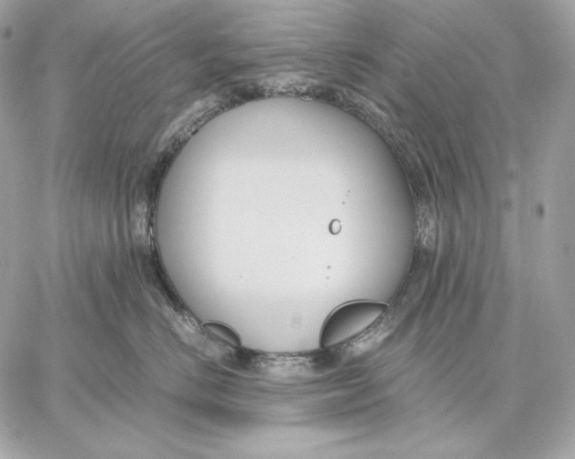 X0000059800670200511111602