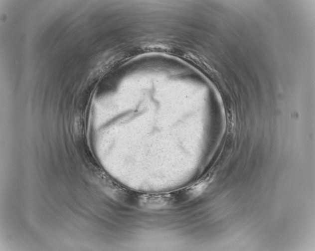 X0000059800671200511111602