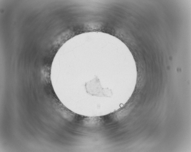 X0000059800672200511111602