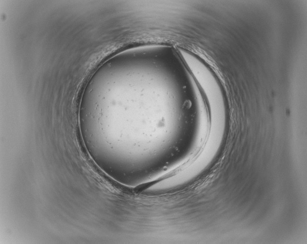 X0000059800673200511111602