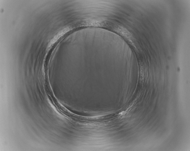 X0000059800674200511111602