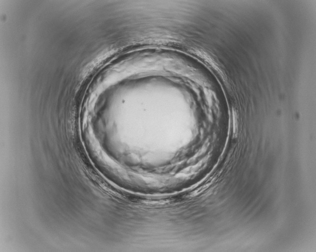 X0000059800675200511111602