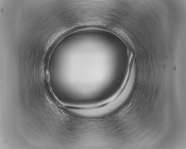 X0000059800676200511111602