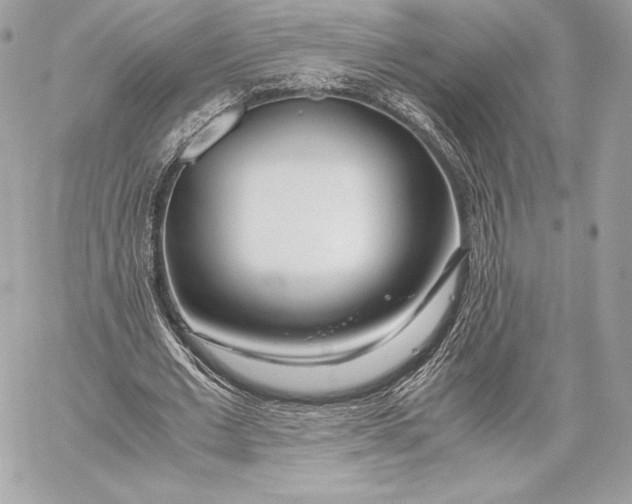 X0000059800677200511111602