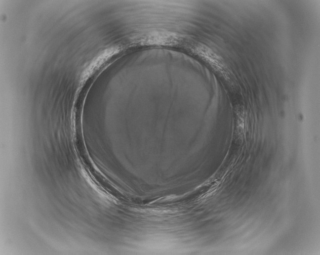 X0000059800678200511111602