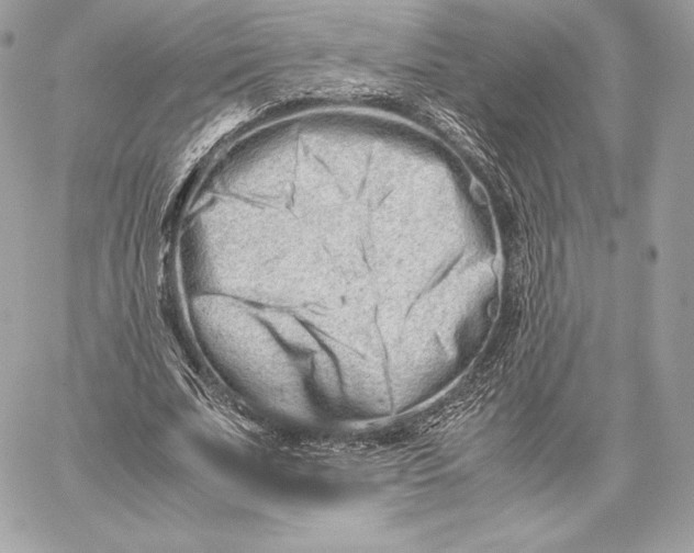 X0000059800679200511111602